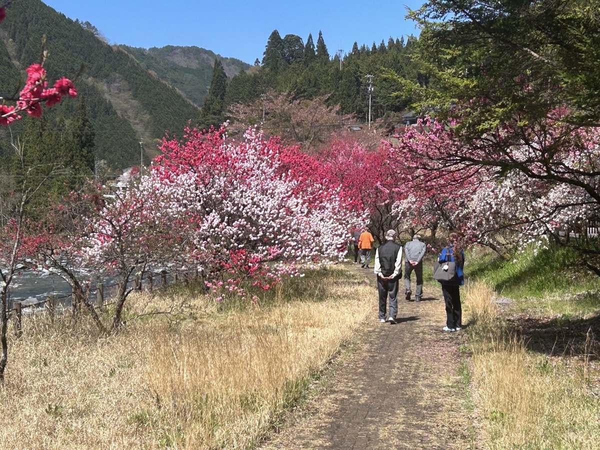 山内 登（下呂市長） tweet media