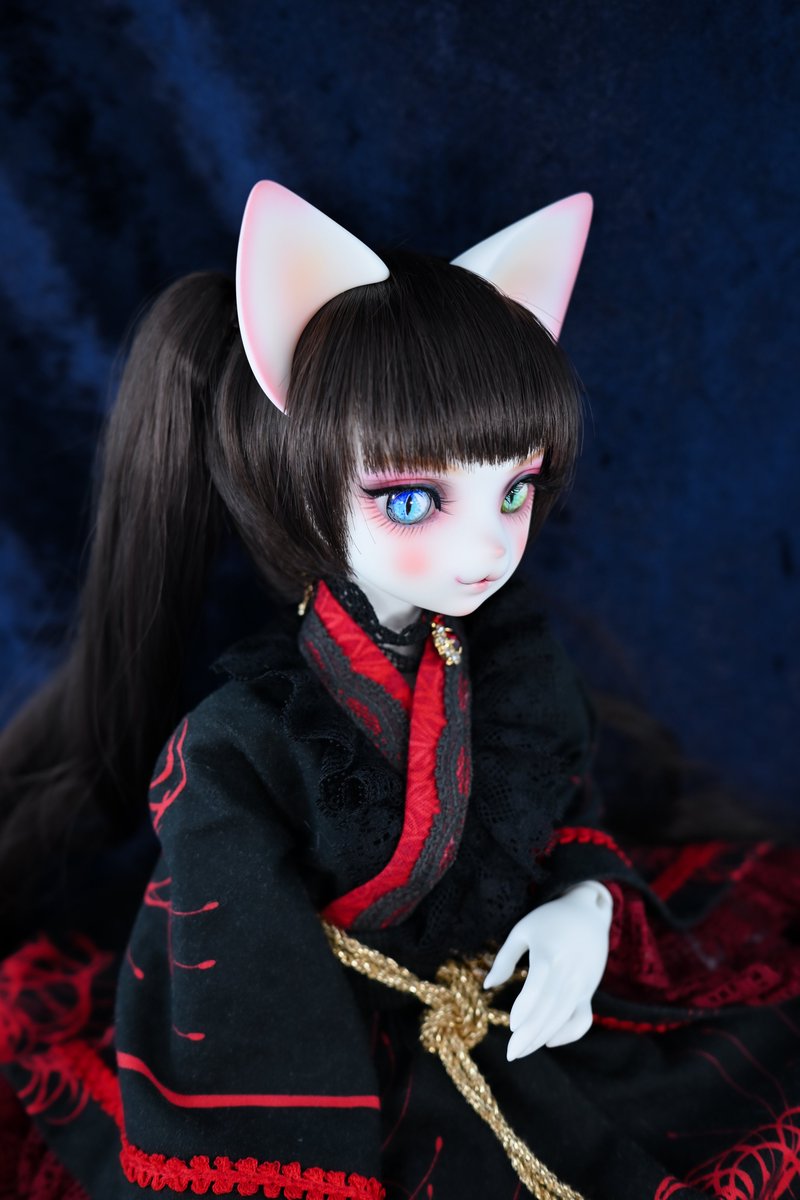 モフライデー🎵

今日も一日健やかに😊
#DearMine  #うちのこかわいい