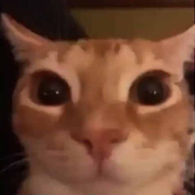 carêncio (wakandaniquakisha) tweet media