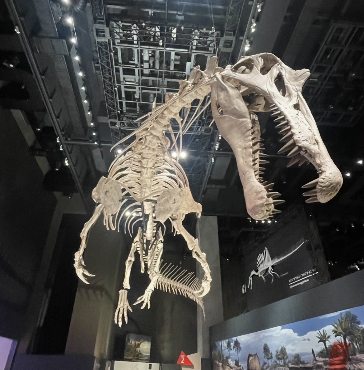 ジュラシックマン tweet media