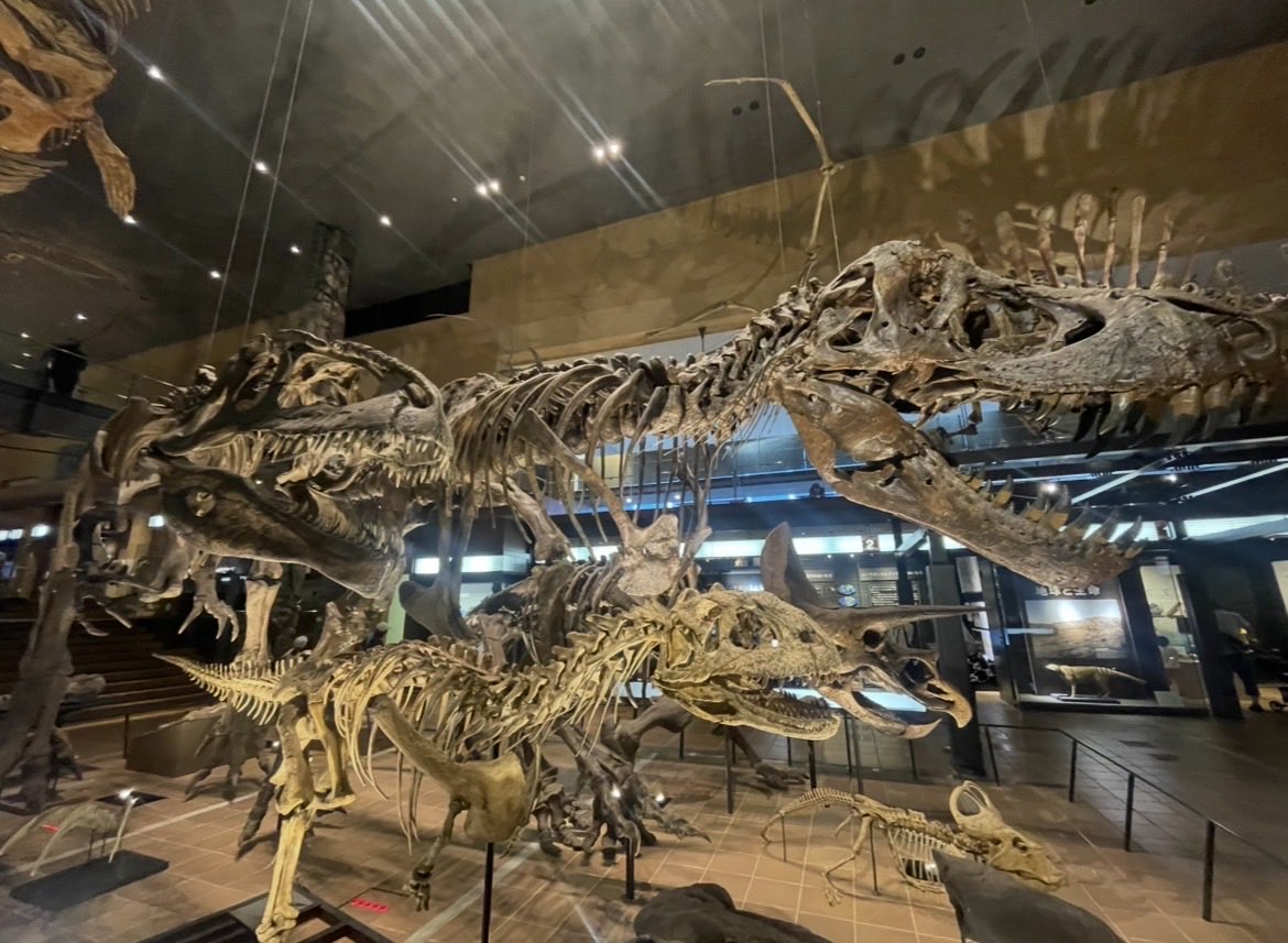 ジュラシックマン tweet media