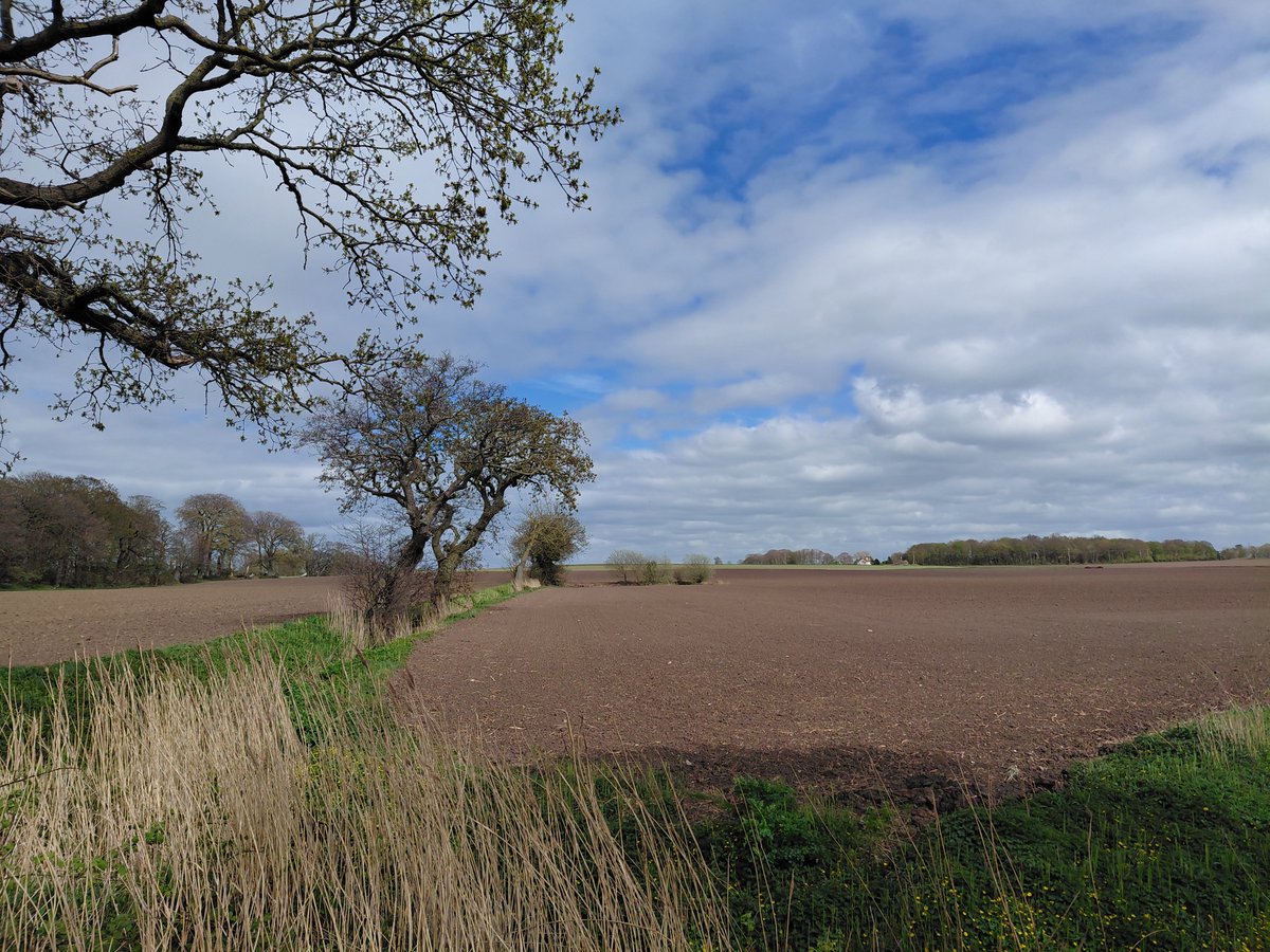Jimmyocx3's tweet image. a beautiful day for a wander...
#Hike4Health #VeteransHealthMatters #Merseyside