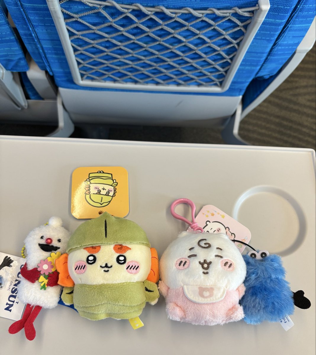 ヨウコ tweet media