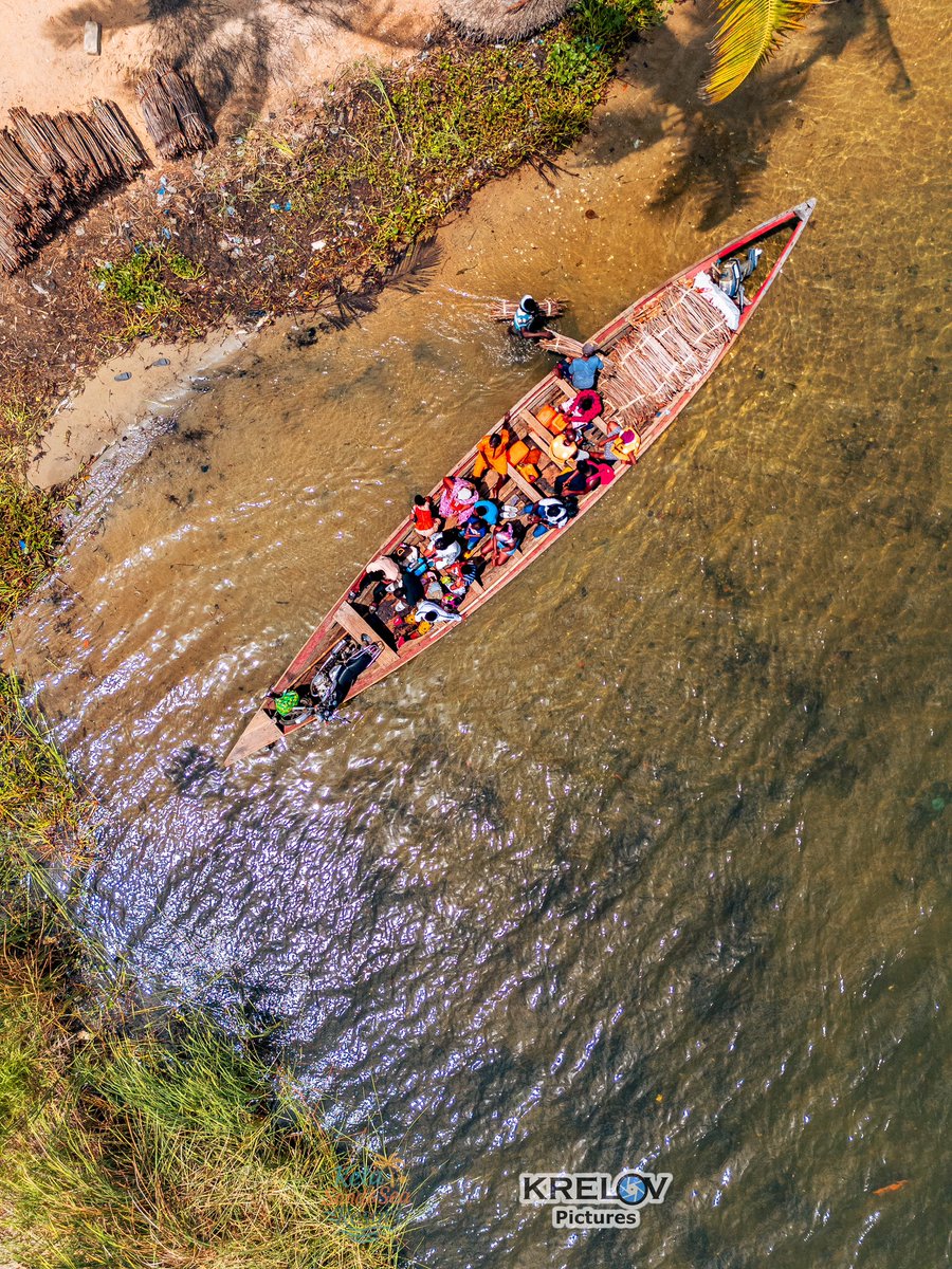 Krelov Franklin tweet media