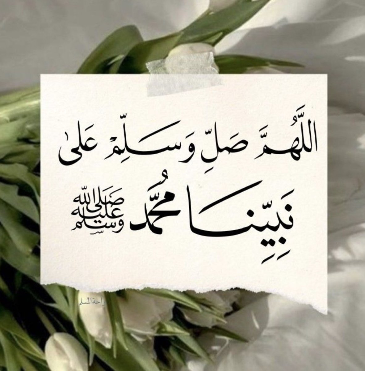 البندري /أم ماجد السبيعي tweet media