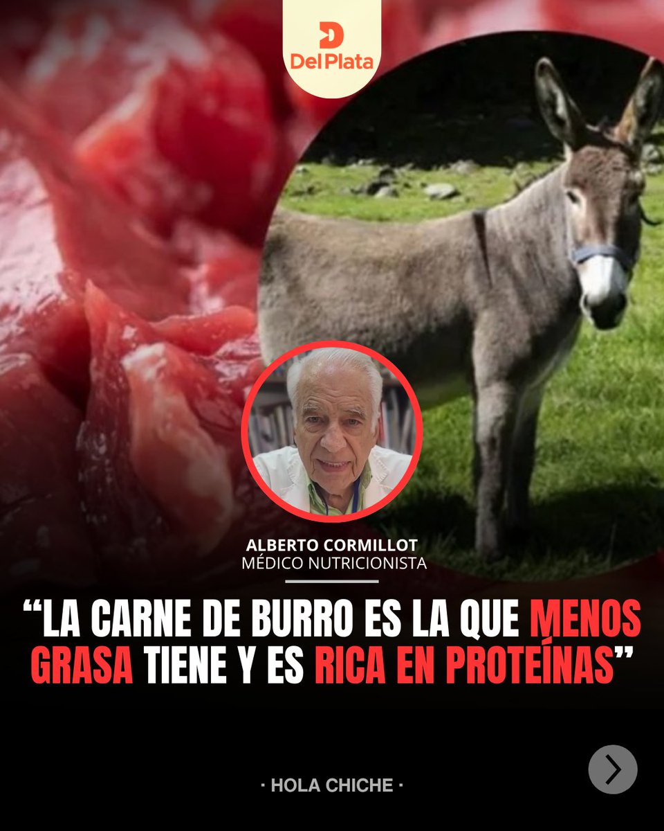 RadioDelPlata's tweet image. Alberto Cormillot, médico nutricionista, habló con Chiche Gelblung sobre la comercialización de carne de burro en algunas zonas del país y abrió el debate sobre su consumo, valor nutricional y aceptación cultural.

#Salud #Alimentación #Debate #Argentina