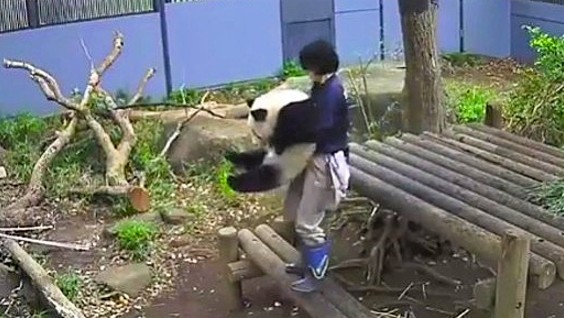 ぱおシャン tweet media