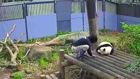 ぱおシャン tweet media