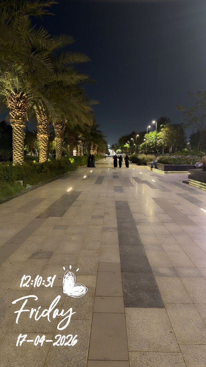 almaher_cats's tweet photo. @Roui2030 @smaljohani @soundsoul396 رحت الحديقه ولفيتها بالكامل بس للاسف مالقيتها والي يعرف عنها شي يتواصل معايا 🙏 https://t.co/lW09yBxJyY