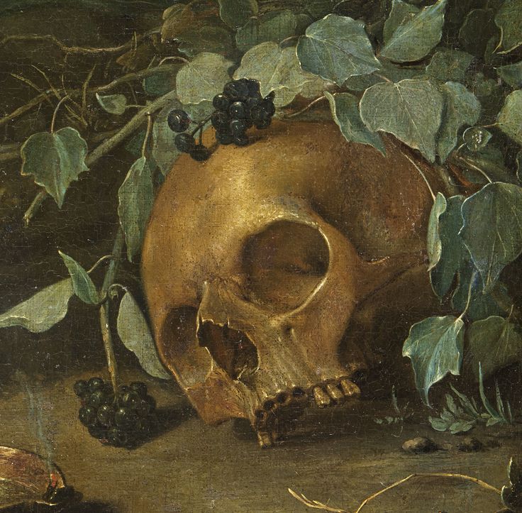 BunnieKat1962's tweet image. #Skull