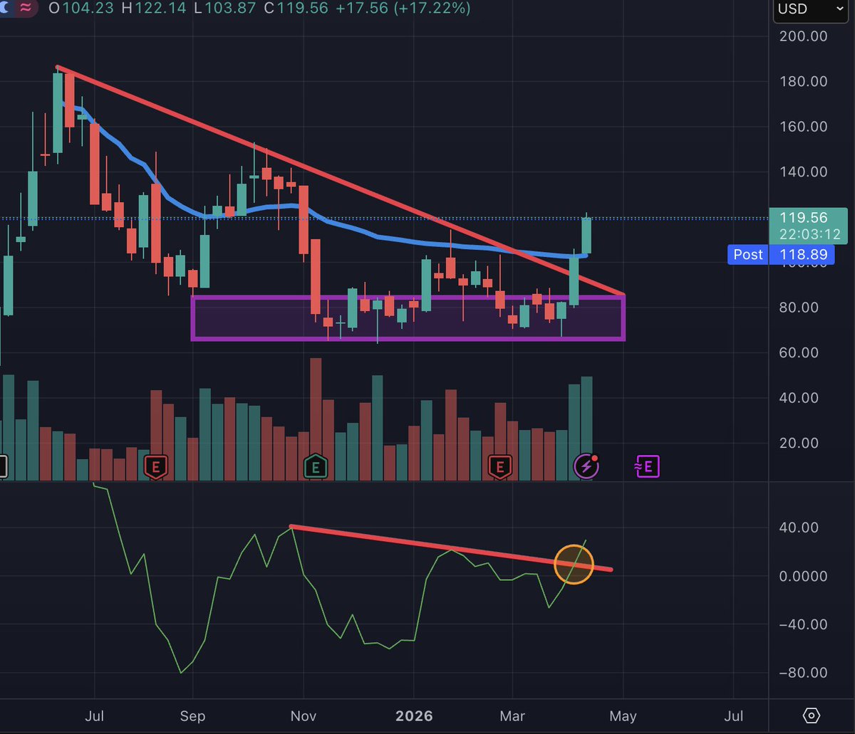 Zachary Markovich tweet media