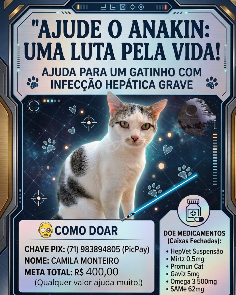 cyberpythia_'s tweet photo. 🚨🚨 URGENTE 🚨🚨

Quem puder dá ❤️+🔁
O Anakin, meu gatinho mais velho de 9 anos, está enfrentando uma infecção grave que sobrecarregou o fígado dele. Já garantimos o socorro de emergência, mas agora ele precisa urgentemente de medicações de alto custo (suporte hepático e + https://t.co/NzjAKpIYcU