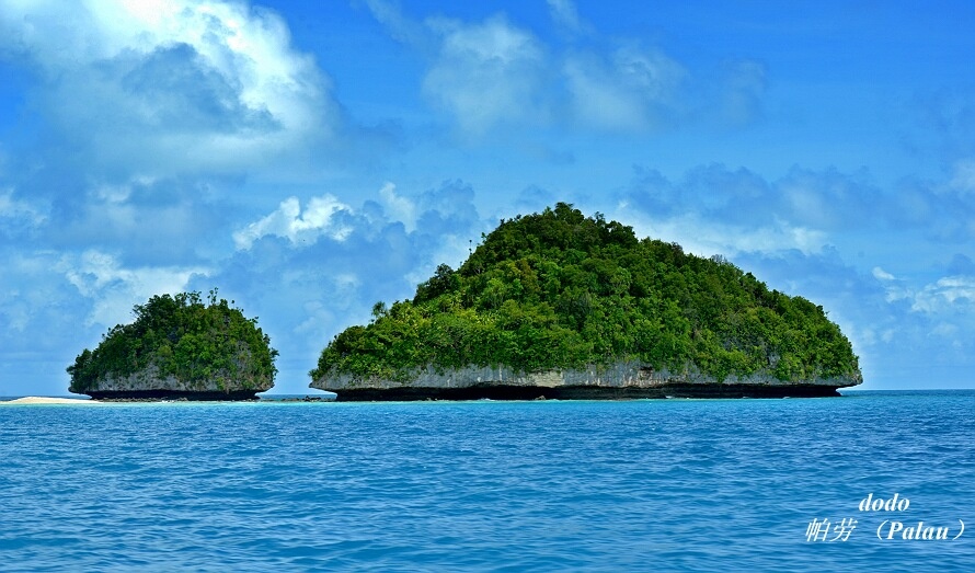 Michelle Haka tweet media