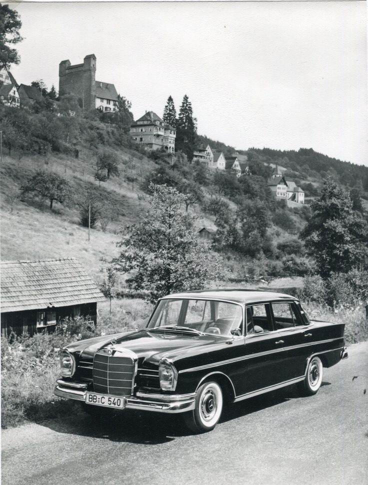juanjoabsolut's tweet photo. #FintailFriday #w112 https://t.co/Cy68YwbF87