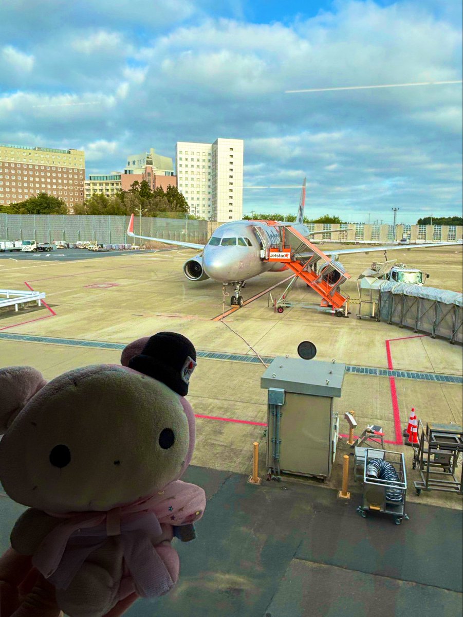 宇猫 tweet media