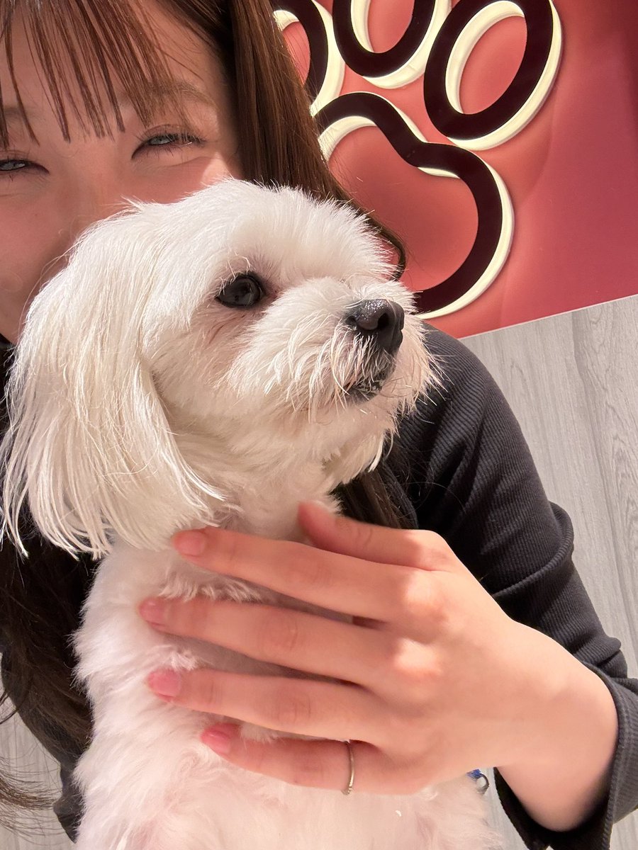 加藤伊音 tweet media