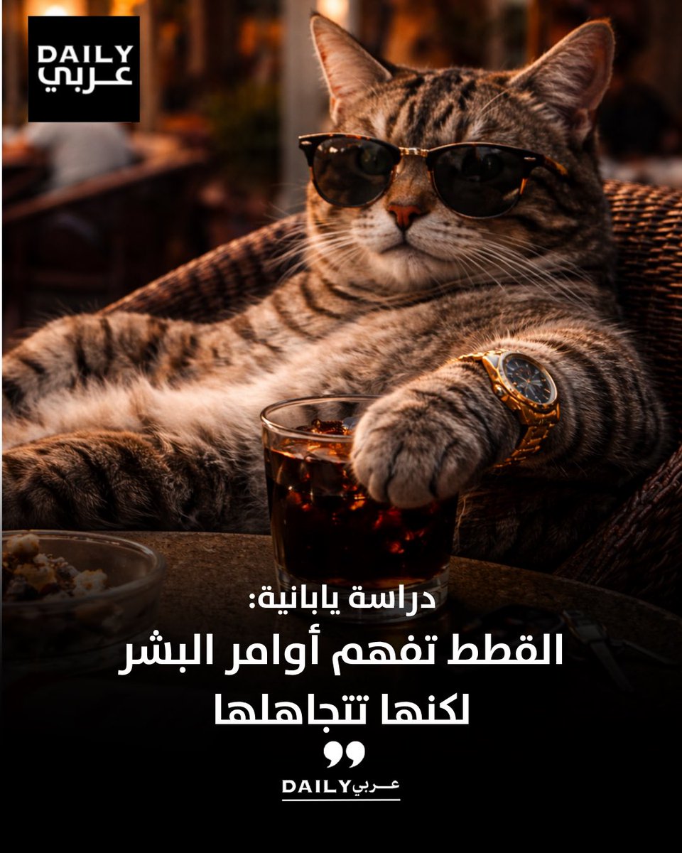 Daily عربي tweet media