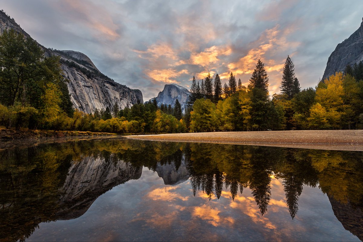 Brandon Yoshizawa tweet media