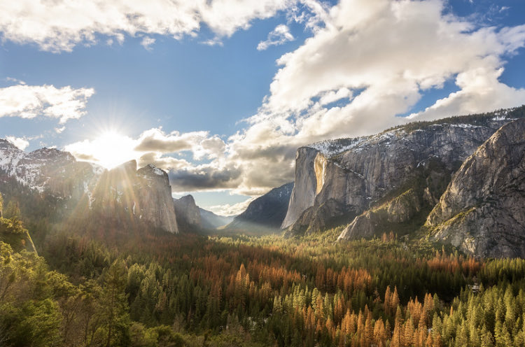 Brandon Yoshizawa tweet media