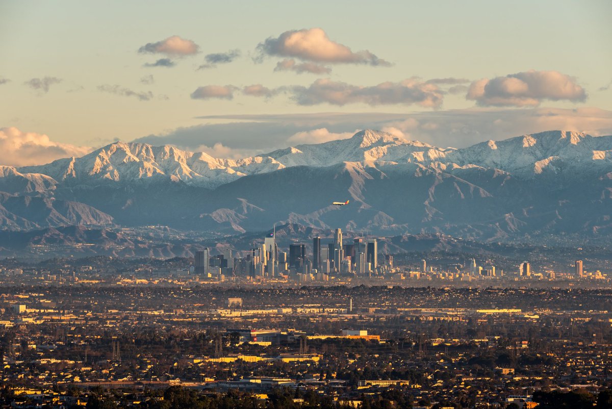 Brandon Yoshizawa tweet media