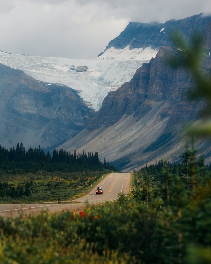 Walking Warrior tweet media