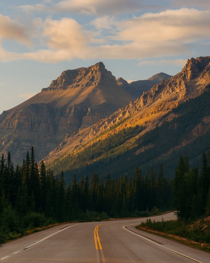 Walking Warrior tweet media