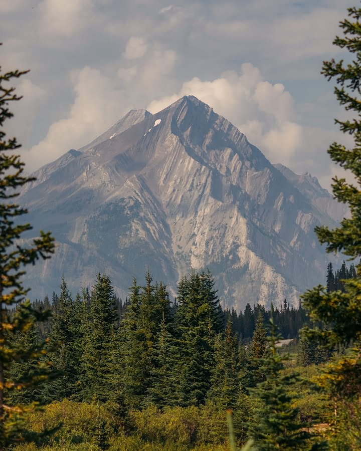 Walking Warrior tweet media