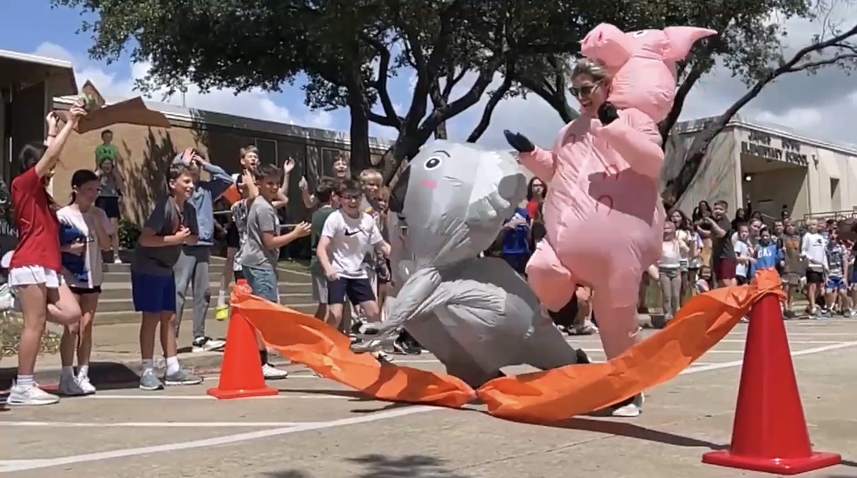 RichardsonISD's tweet photo. When there’s a personal connection to a cause, the @BowieMustangs show up in a big way! 

The mustangs community surpassed their fundraising goal and raised $17,000 for the Kids Heart Challenge, benefiting heart health! 

They have their own "Heart Hero" on campus, a 5th grade student who shares her personal heart journey each year with students and staff shows how their contributions help kids like her ❤️ .

As a celebration, students cheered on the admin team as they competed in a @KidsHeartChall Inflatable Race. The Cow, Pig, and Koala raced to a photo finish. Great job, Mustangs!