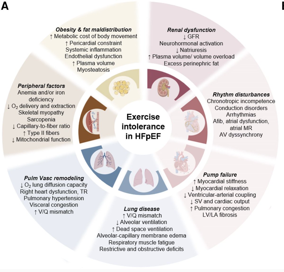 Hide Yaku, MD, PhD, FHFSA tweet media