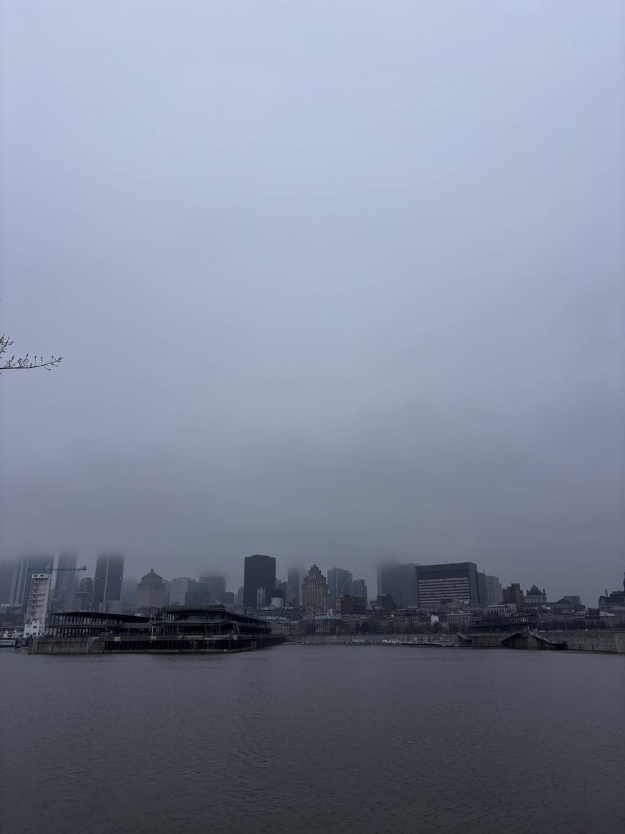 Sjögren tweet media