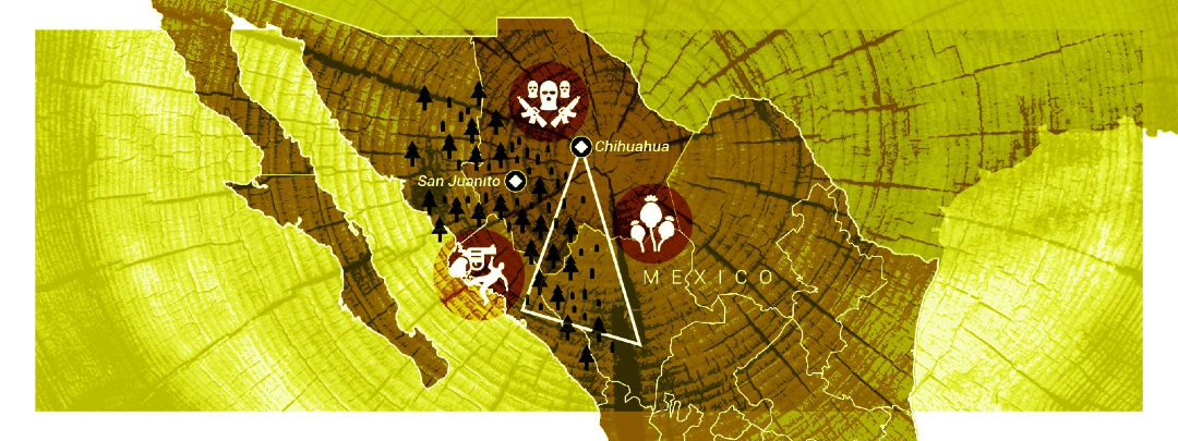 InSight Crime tweet media