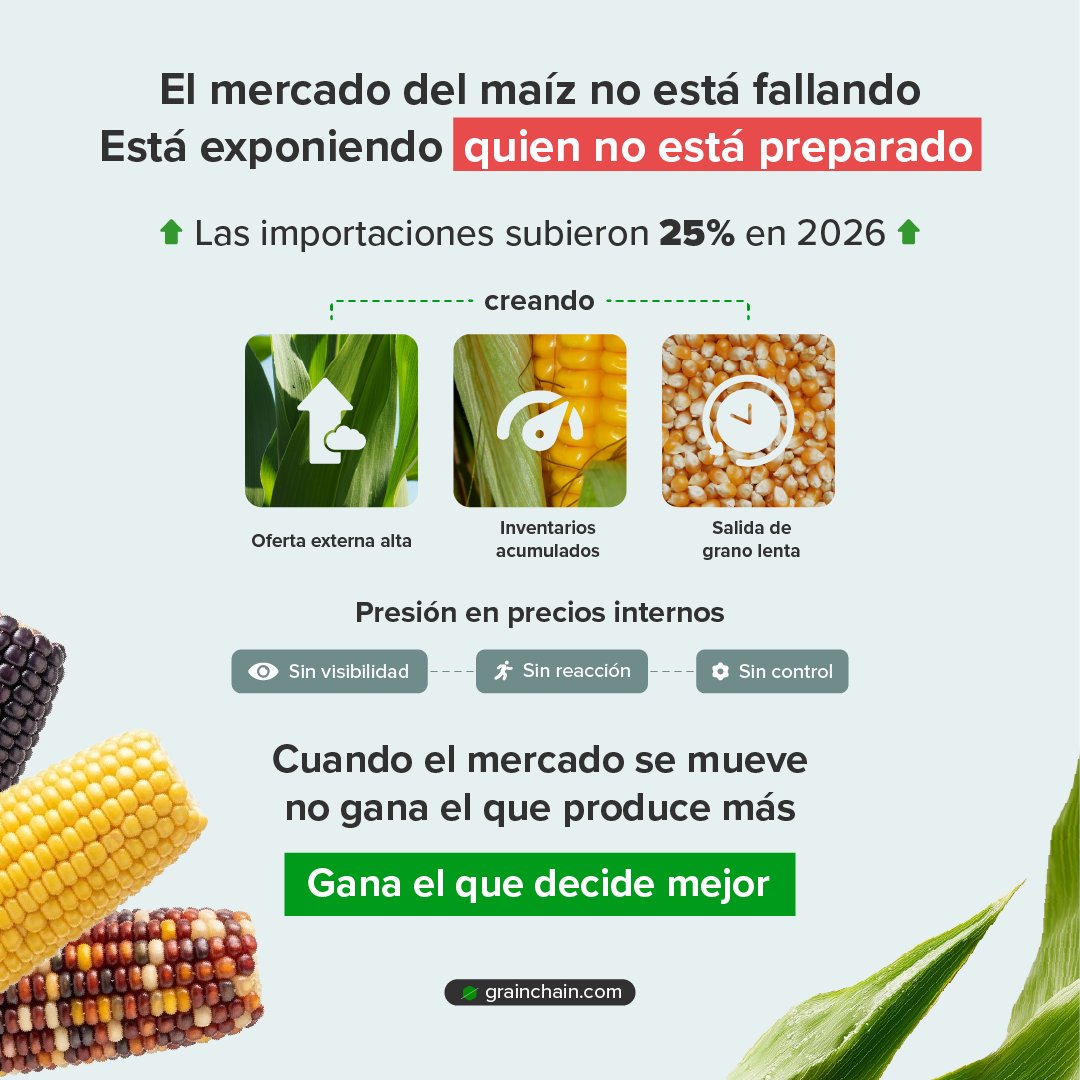 GrainChain tweet media