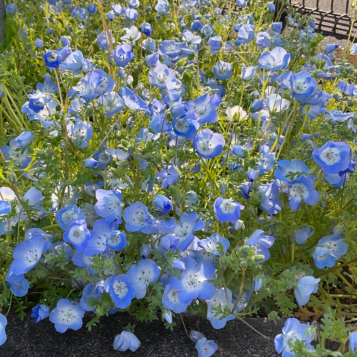 Takahiro Hayashi tweet media