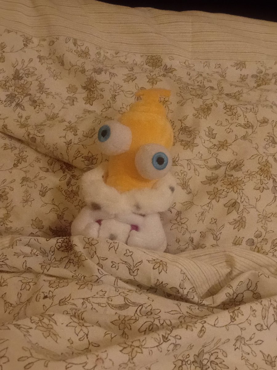 KINGERjpeg's tweet photo. I am what the internet call "eepy". https://t.co/MQxXcmBAFV