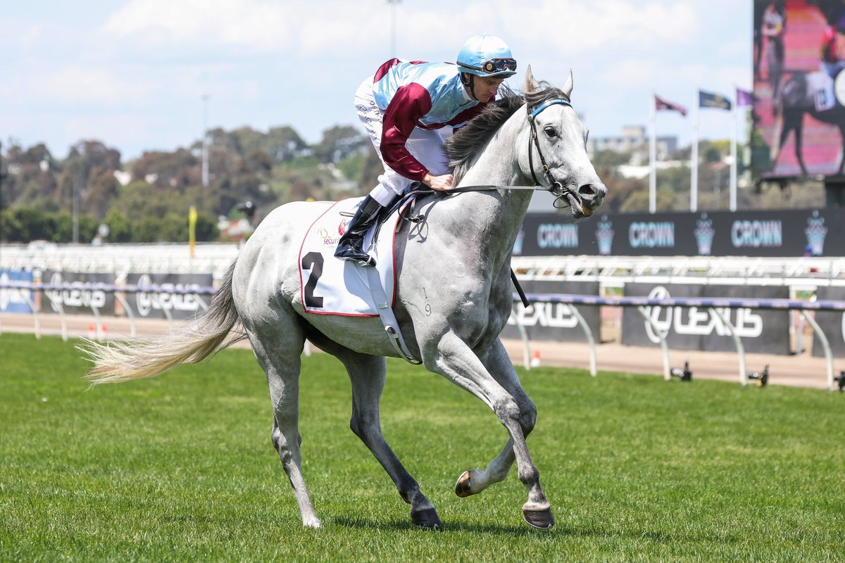 David Pfieffer Racing tweet media