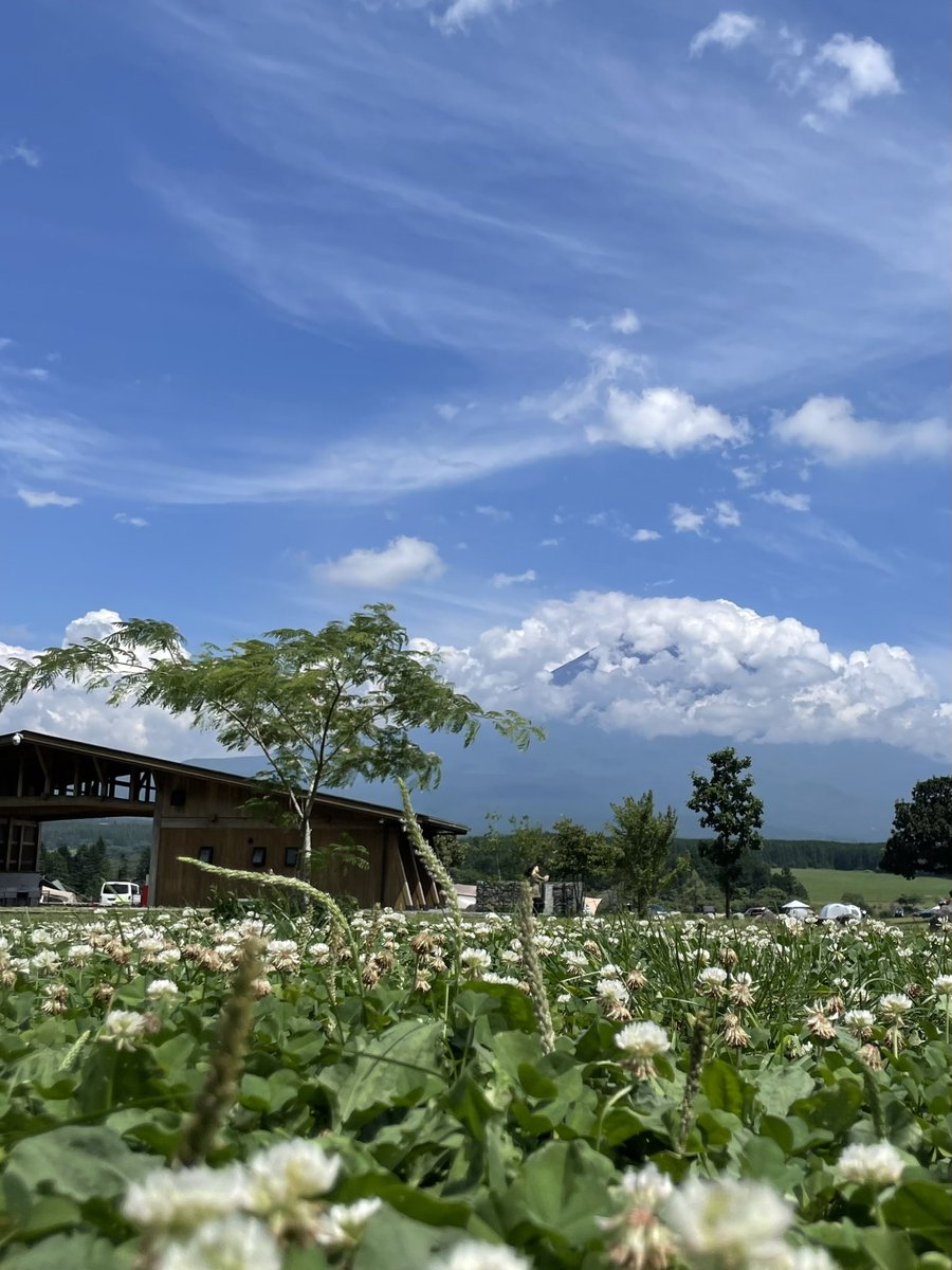 ヨコメガ（旧名メガネキャンプ） tweet media