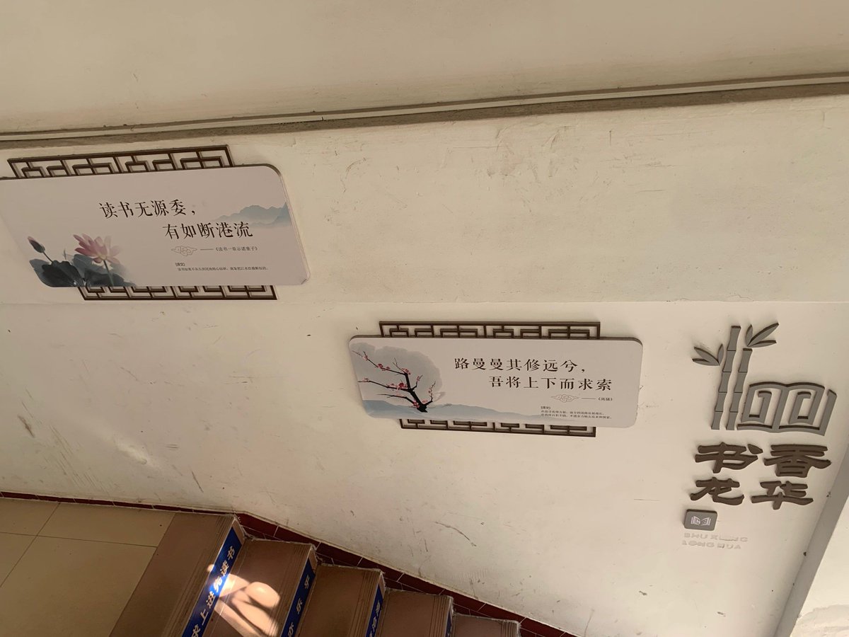 Veronique LAPOUYADE tweet media