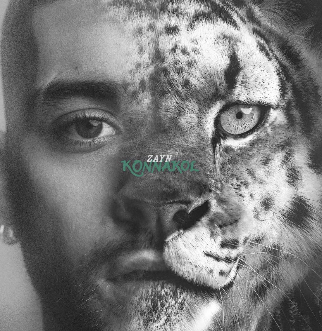 Zayn France tweet media