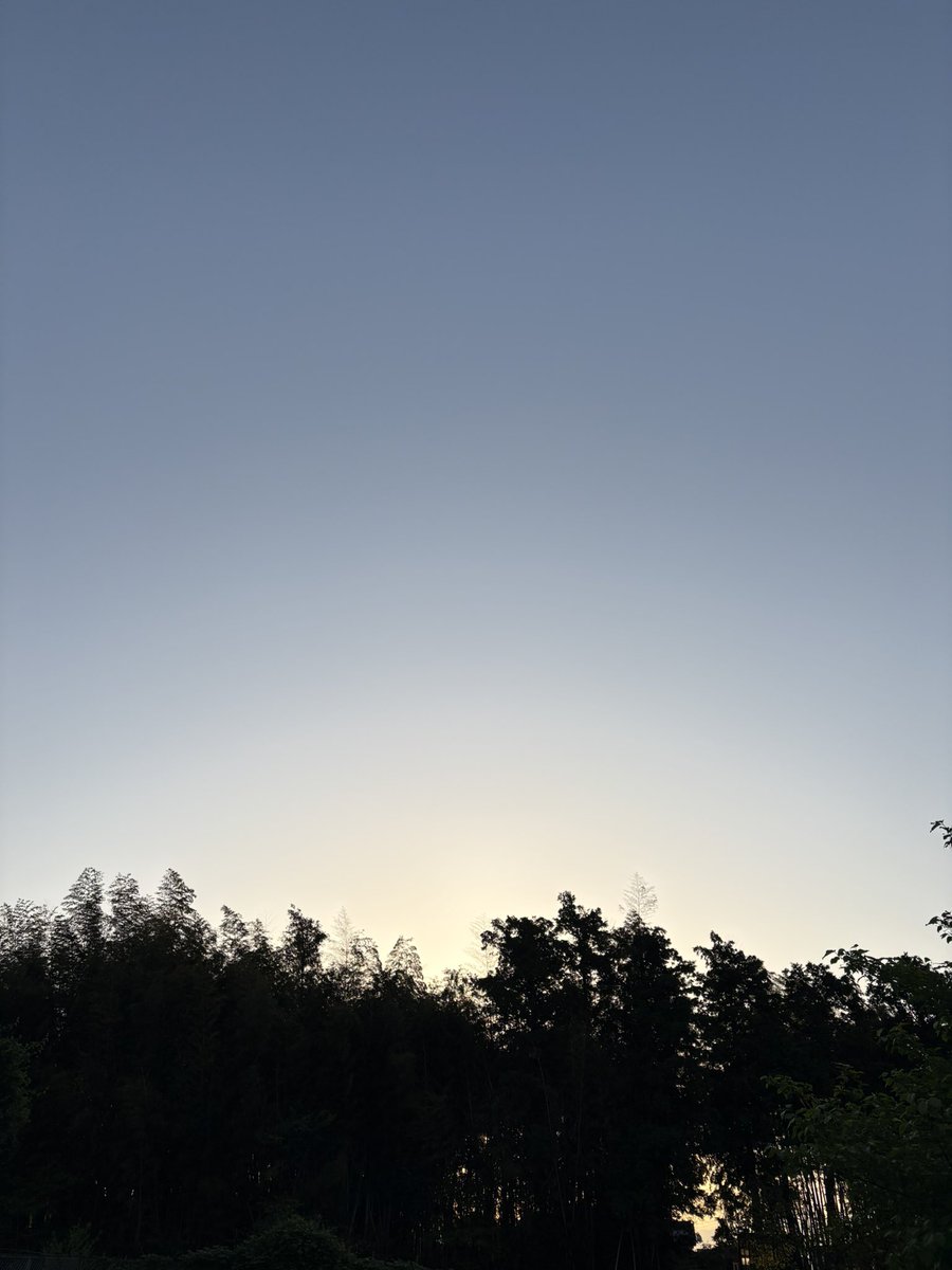 シンゴ"0"ナガノ tweet media