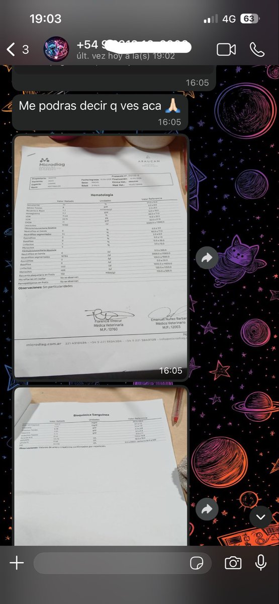 Barbie veggie tweet media