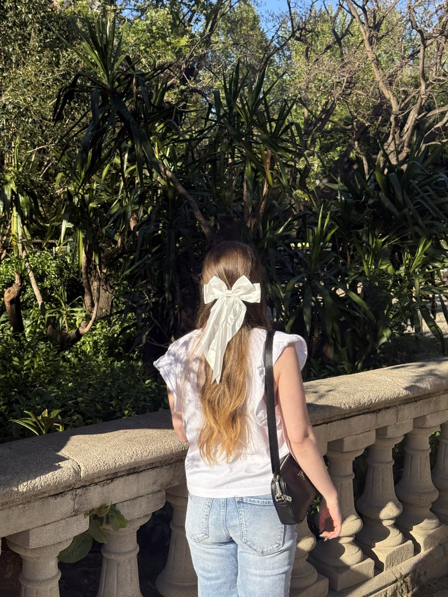 alex 🎀 tweet media