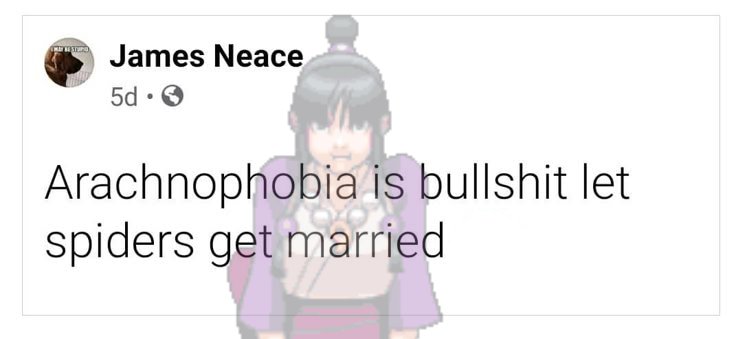 phoenixwrong tweet media