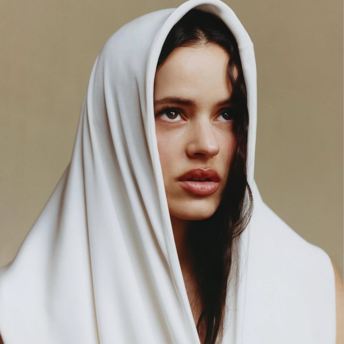 ROSALÍA BRASIL tweet media