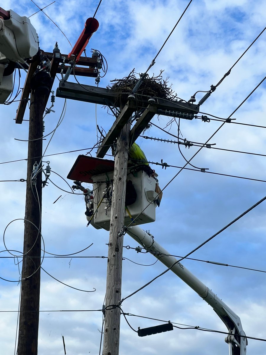 Puget Sound Energy tweet media