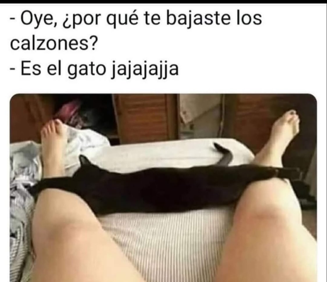 OZUNA 🧚🏻‍♂️❥ tweet media