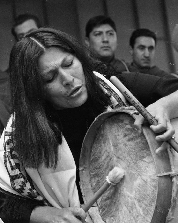 Flor Viva tweet media