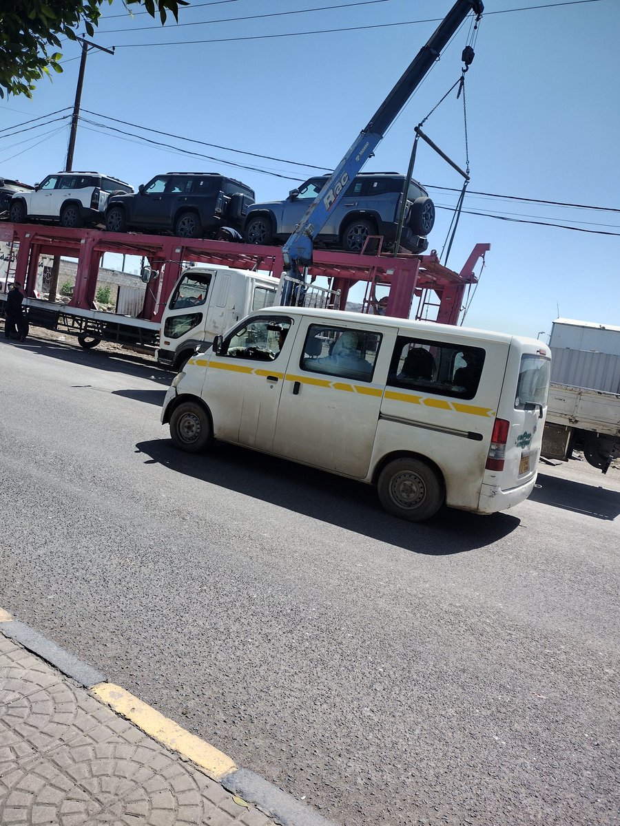 زايد محمد زايد tweet media