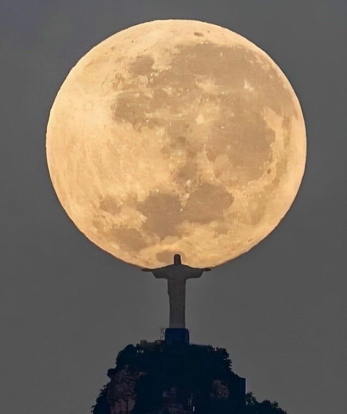 UpdateCharts tweet media