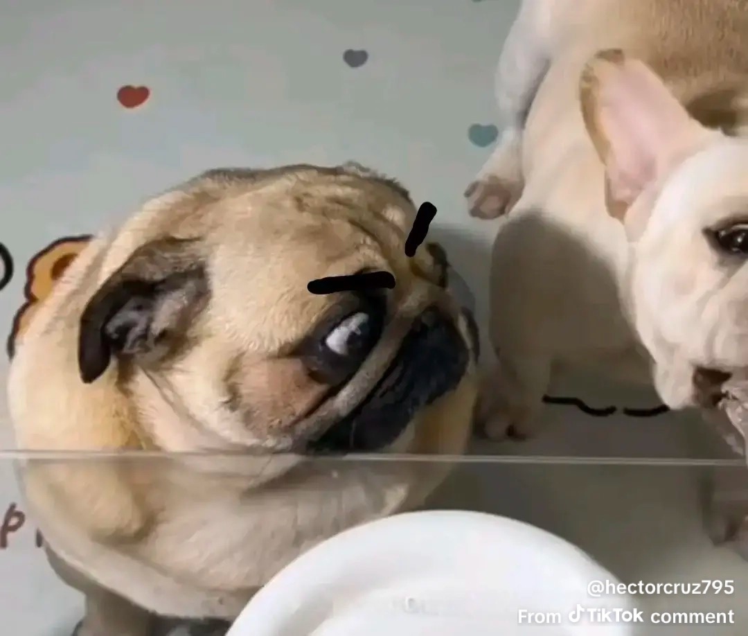 Funny Furry tweet media