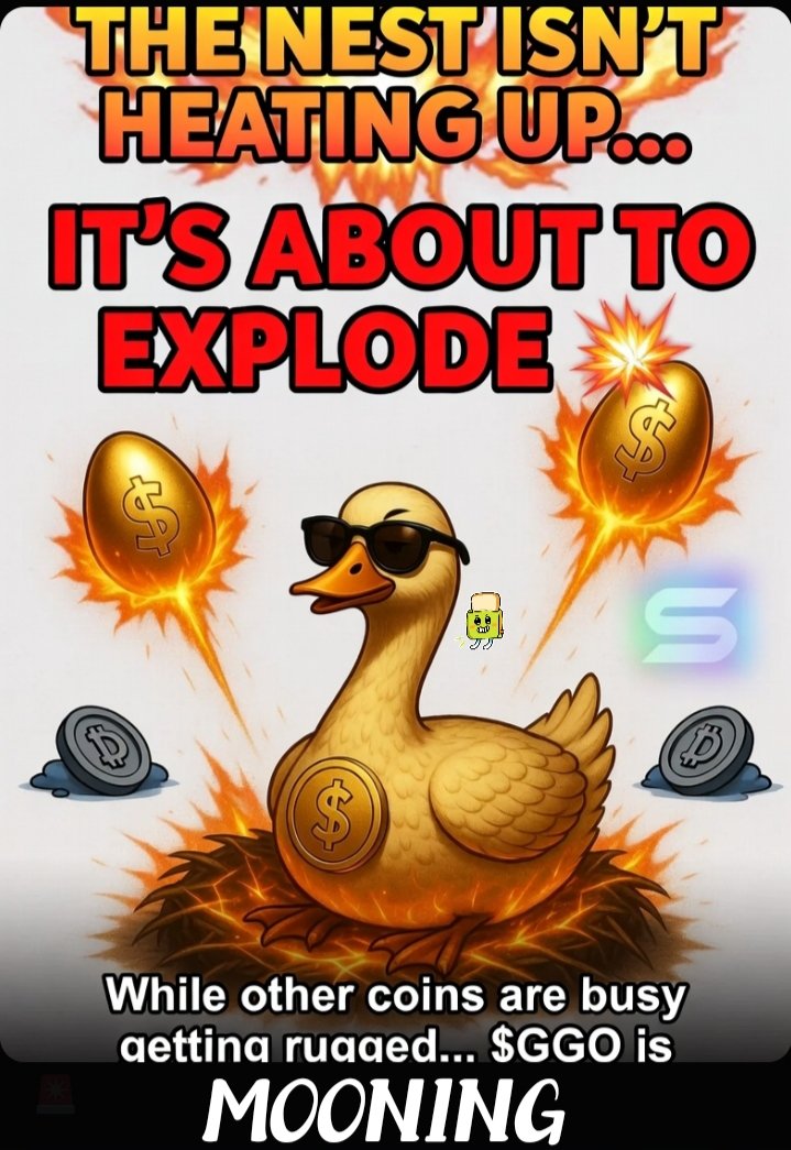 FANCYWISE tweet media